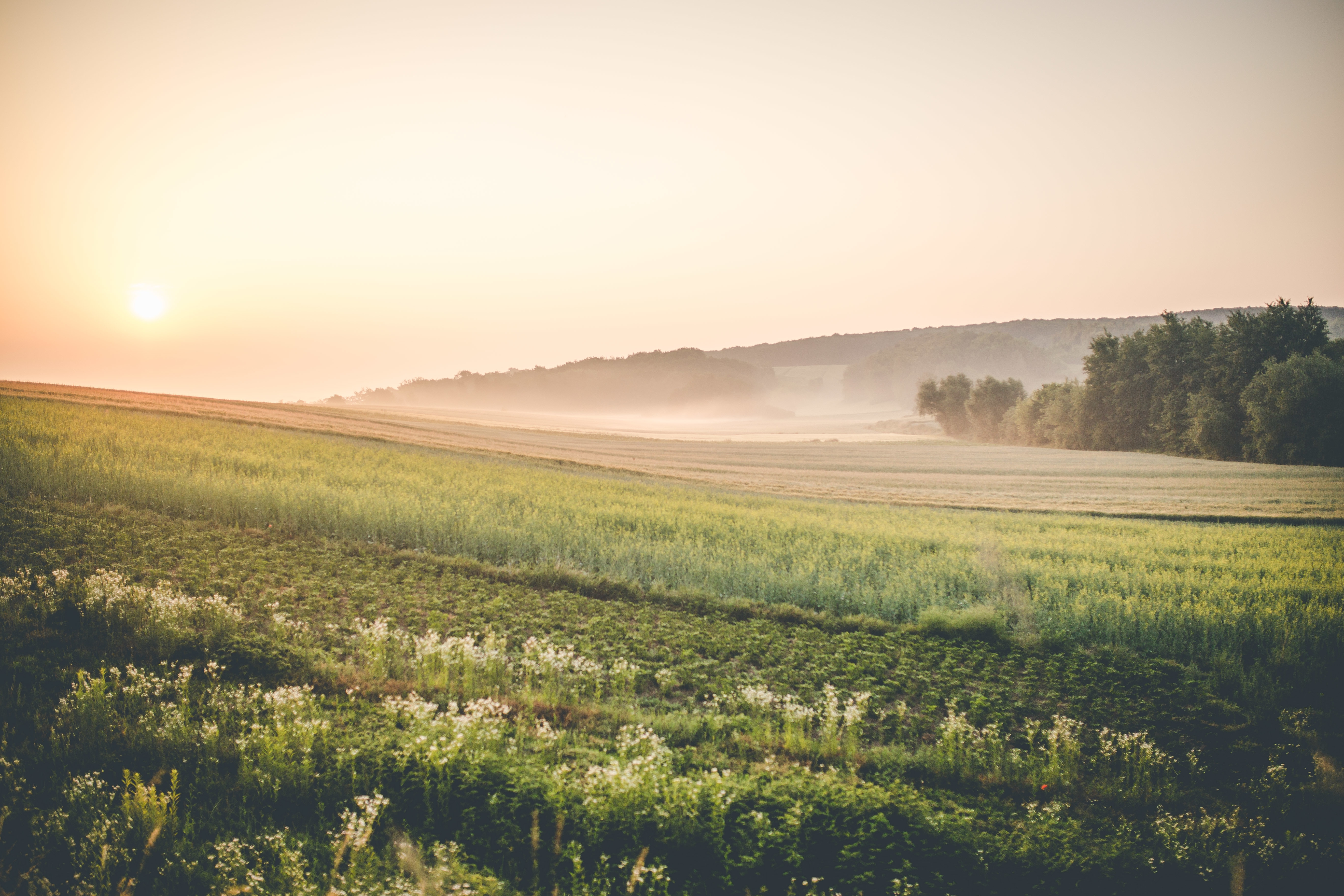 5 Ways to Maximize the Value of Your Land Before Selling